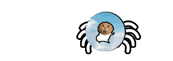 meme spider